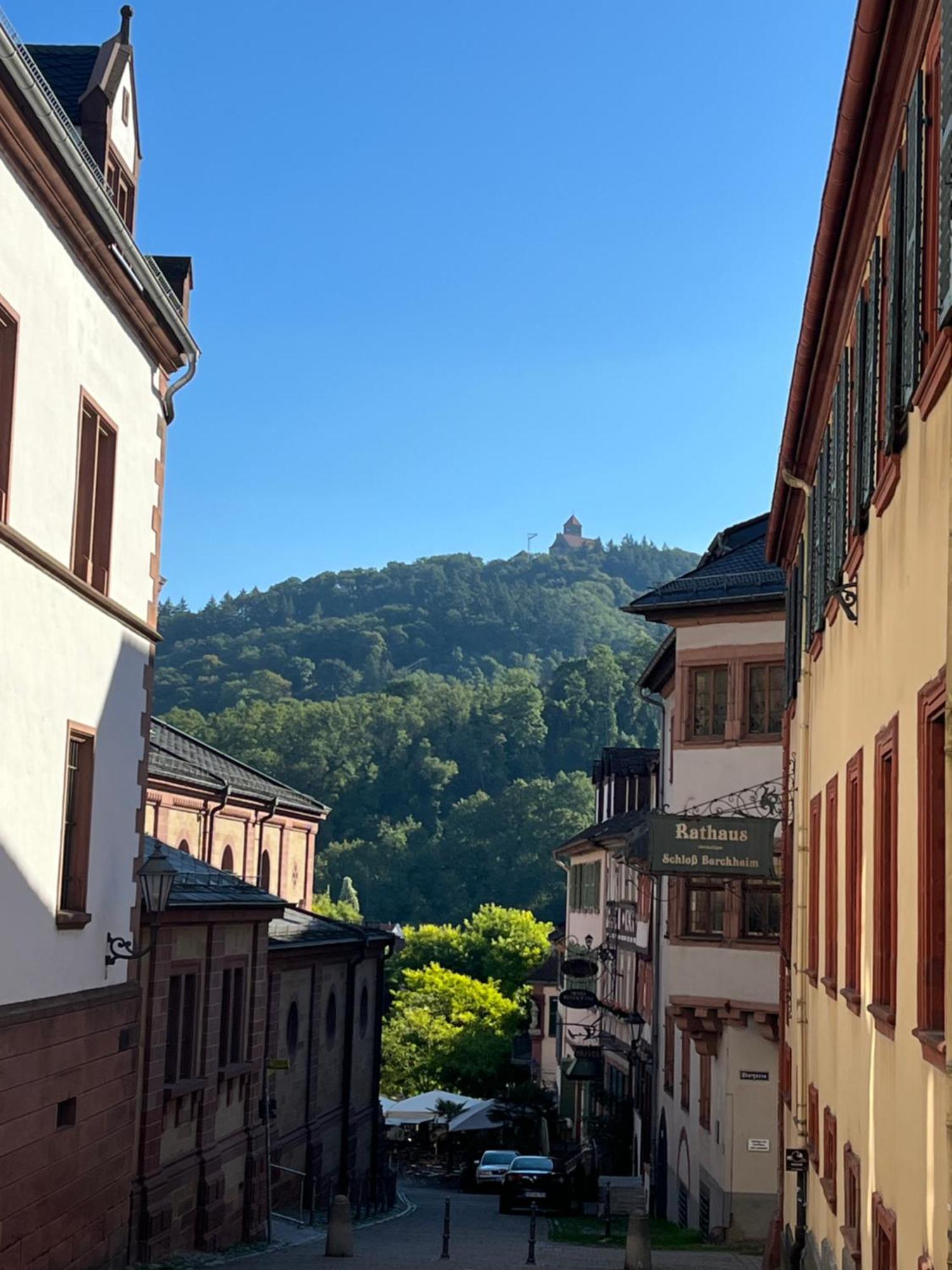 Ferienwohnung Burgenblilck Weinheim Extérieur photo
